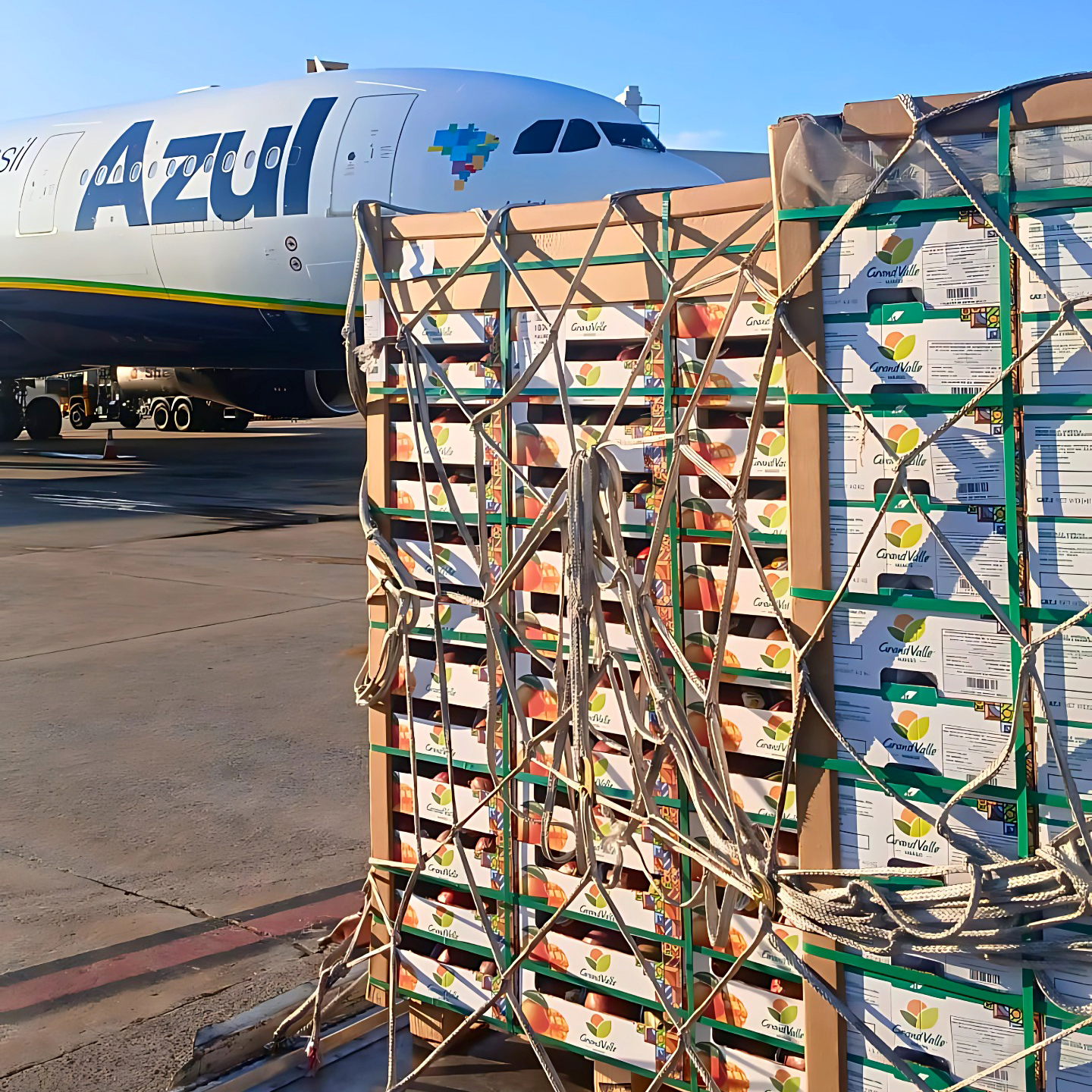 Azul Cargo transporta 100 toneladas de frutas para Portugal em um mês