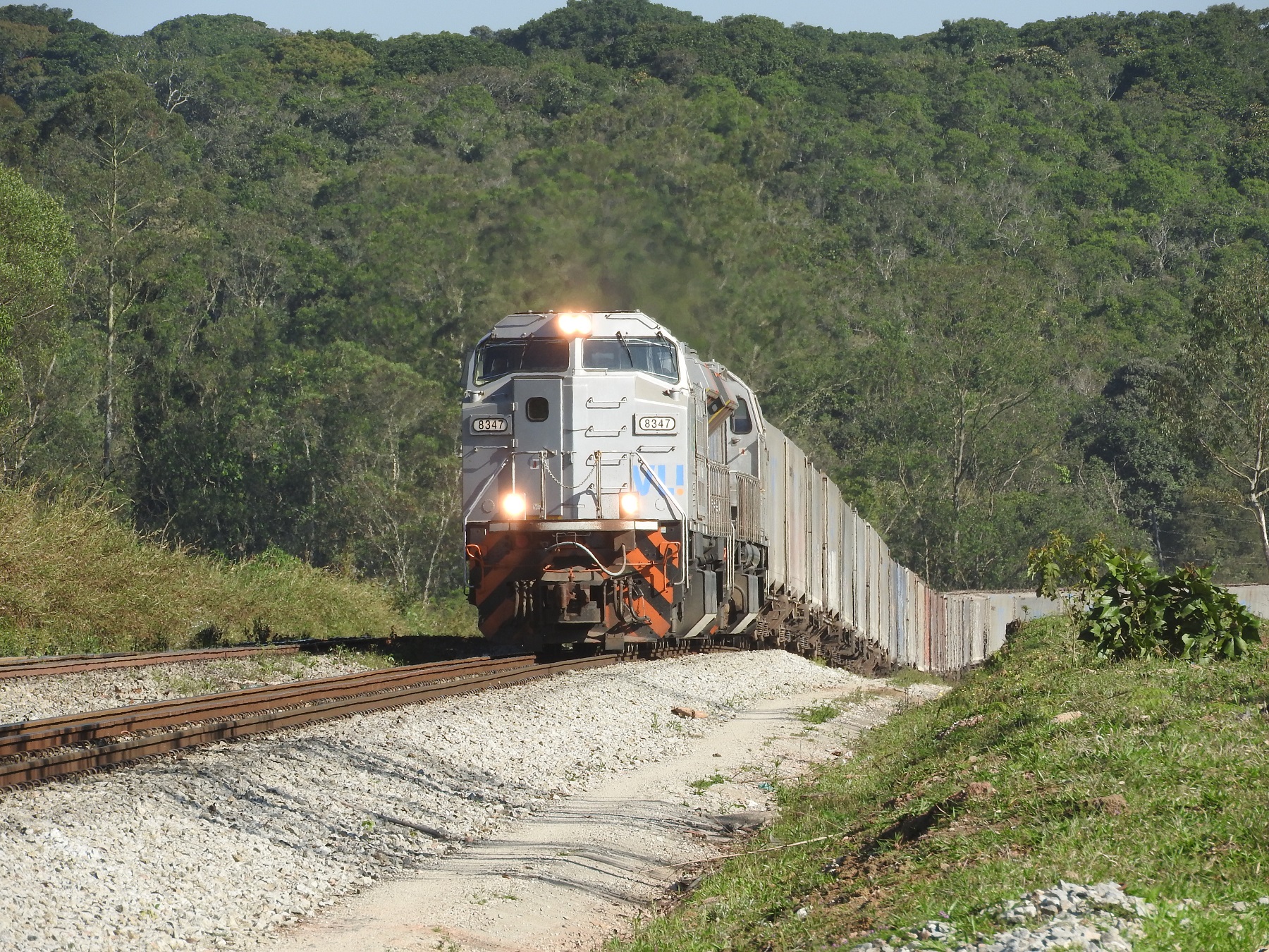 VLI e Tereos realizam operação ferroviária de açúcar com compensação de carbono
